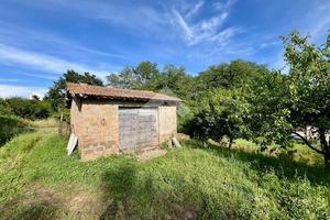 TER. AGRICOLO A MONTEFIASCONE