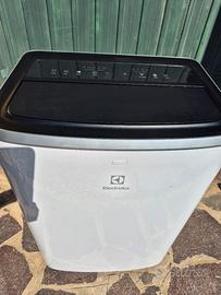 Climatizzatore portatile Electtrolux caldo freddo