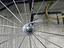 Immagine 5