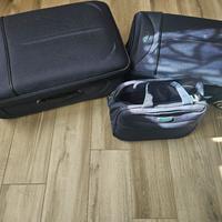 set 2 valige più borsa beauty 