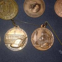 Medaglie adunata alpini