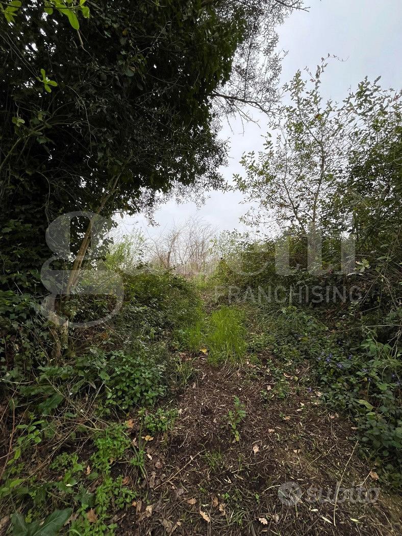 Terreno Agricolo Camigliano [Cod. rif 3298000VCG] - Vista 3