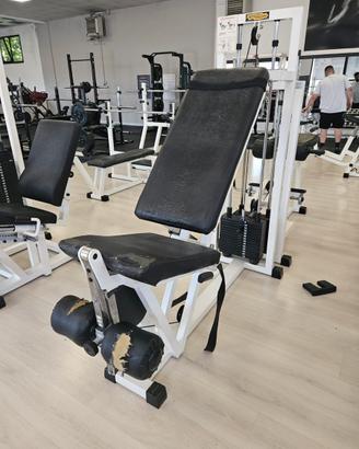 Leg extension technogym