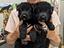 Immagine 26