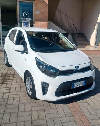 58.968KM COME NUOVA PICANTO 1.0 PER NEOPATENTATI