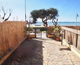 SUL MARE, fronte spiaggia, CLIMA. si animali