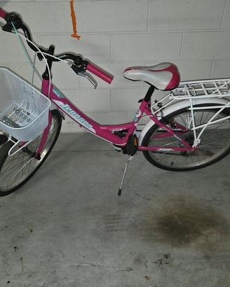 bicicletta Legnago