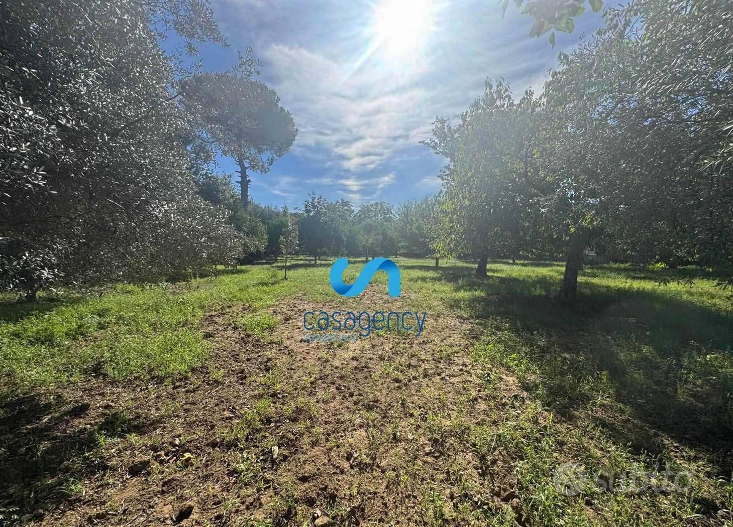 Terreno agricolo 3.100 mq - Mezzano (CE) - Vista 4