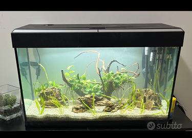 Acquario 150 litri