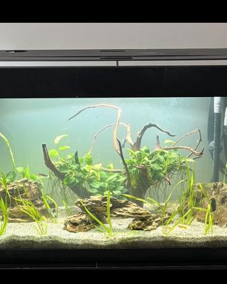 Acquario 150 litri