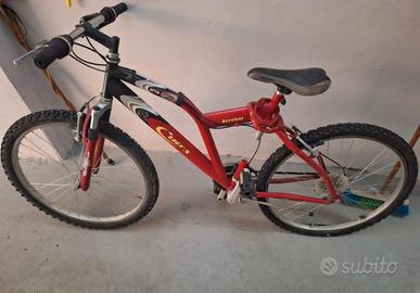 Biciclette di vario tipo