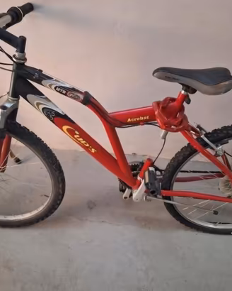 Biciclette di vario tipo