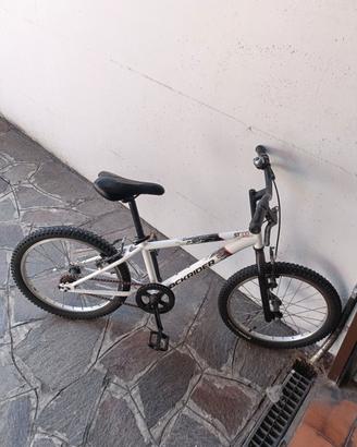 bicicletta bambino