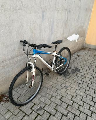 Bicicletta