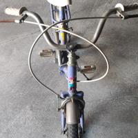 Bicicletta Cinzia pieghevole