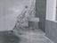 Immagine 9