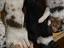 Immagine 6