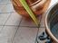 Immagine 6