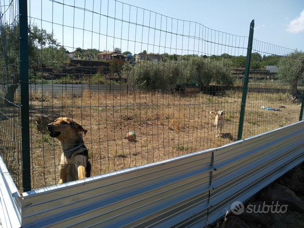 Terreno belpasso massannunziata mascalucia