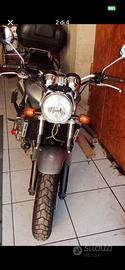 Hornet 900