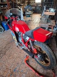 MV Augusta 350 Ipotesi