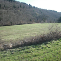 Terreno agricolo