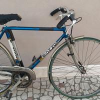 Bici sportiva