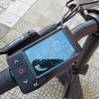 Bici Elettrica 