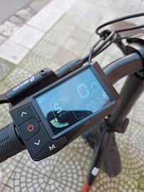 Bici Elettrica 