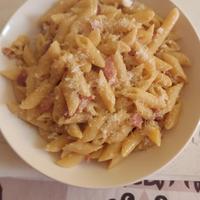 Gastronoma italiana per bar