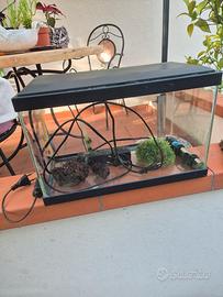piccolo acquario