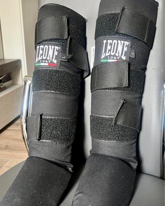 paratibie Leone