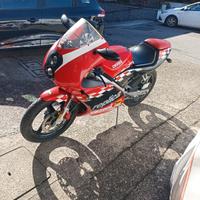 derbi gpr 50 replica 