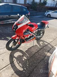 derbi gpr 50 replica 