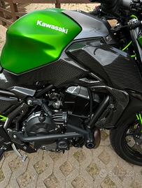 Parti In Carbonio Kawasaki Z650