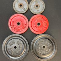 Pesi in ghisa foro 25 mm