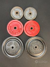 Pesi in ghisa foro 25 mm