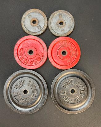 Pesi in ghisa foro 25 mm