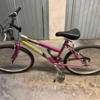 Bicicletta da ragazzina