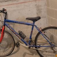 mountain bike bambino cerchio 24