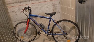 mountain bike bambino cerchio 24