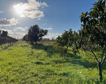 Terreno e rustico ristrutturato zona mare