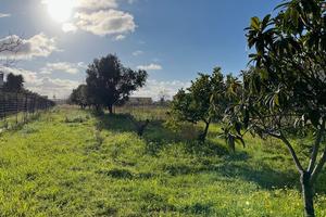 Terreno e rustico ristrutturato zona mare