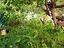 Immagine 18