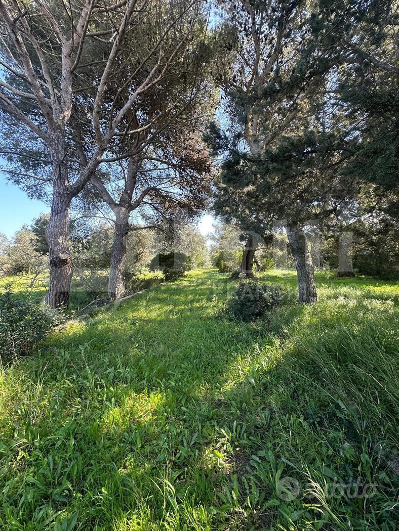 Terreno Agricolo Ostuni [Cod. rif 3299889VCG] - Altro
