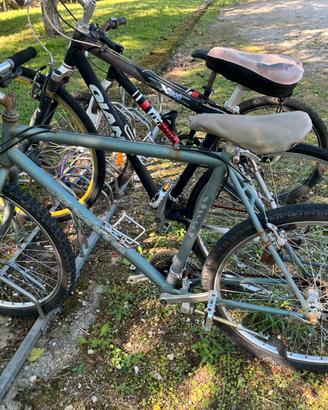 bicicletta invicta verde