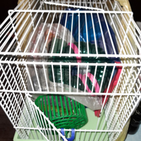 Gabbia criceto