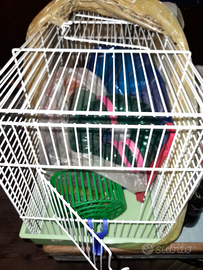 Gabbia criceto