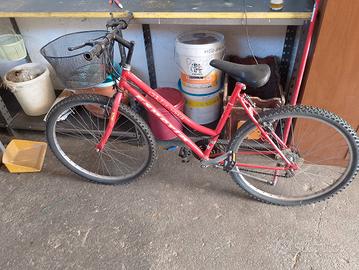 bicicletta 