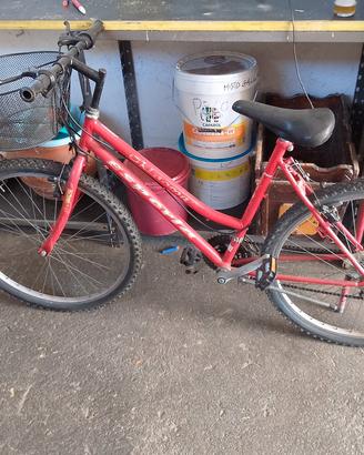 bicicletta 